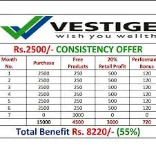 Vestige Marketing